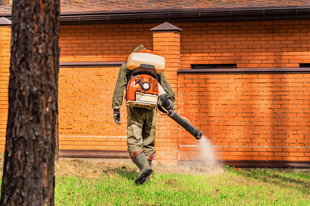 Trusted Cockroach Control service in Fifth Street, TX - Nex Pest Control